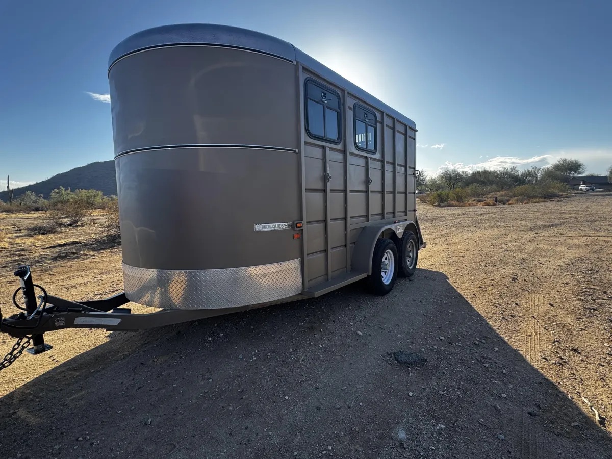 Desert Roots Rentals — two-horse bumper-pull trailer in the Arizona desert near Buckeye